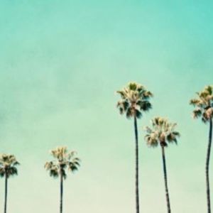 Meet your Posher, SoftCloth